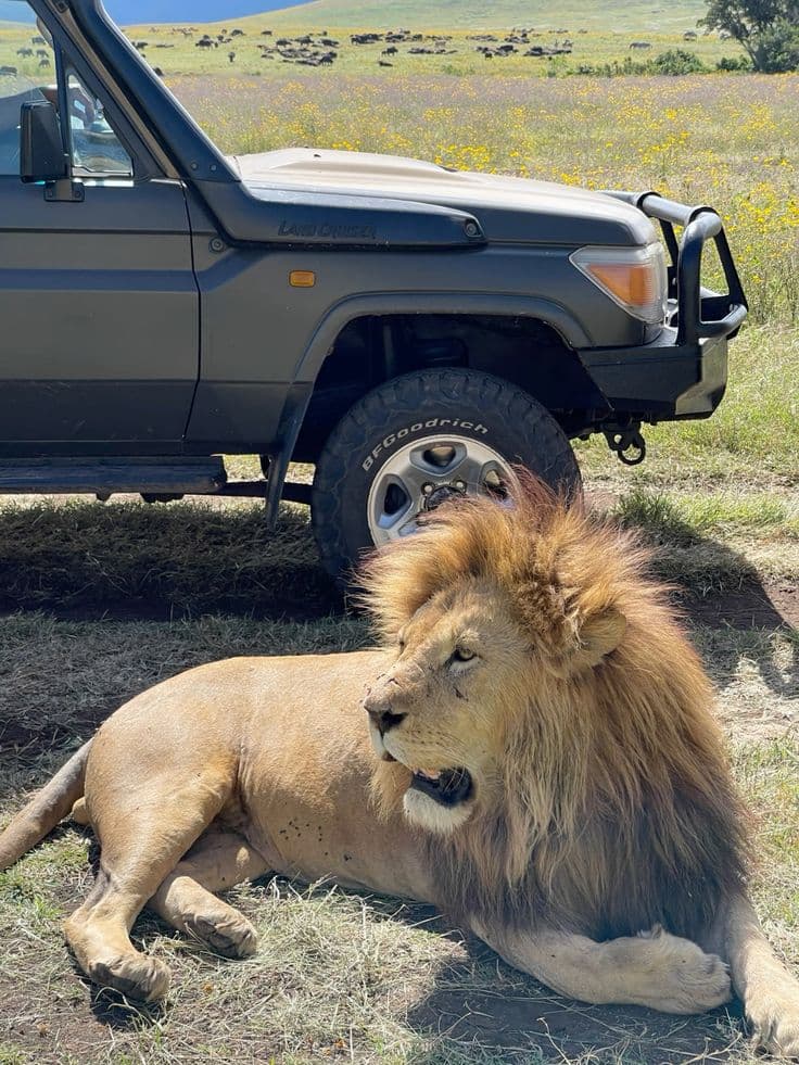 Ngorongoro Crater - Photo 3