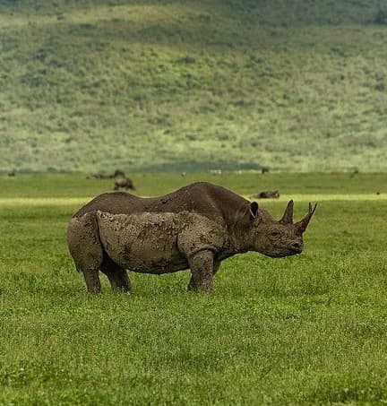 Ngorongoro Crater - Photo 2