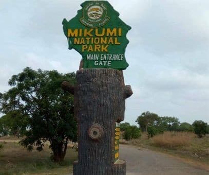 Nyerere National Park