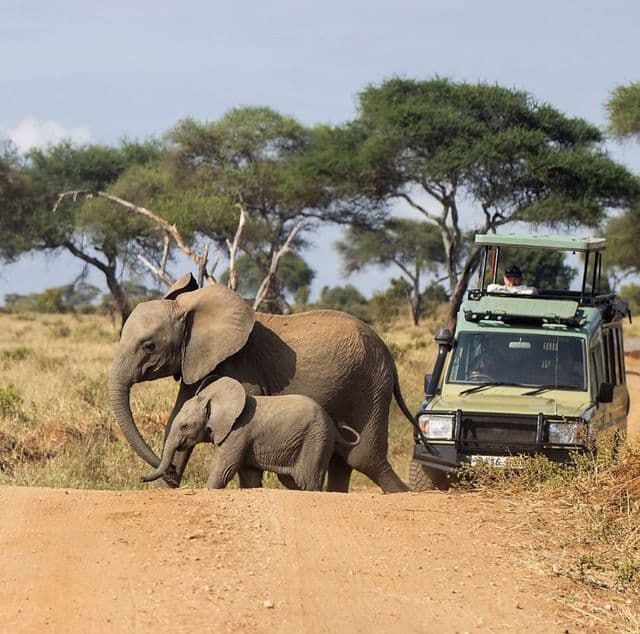 Tarangire National Park - Photo 2