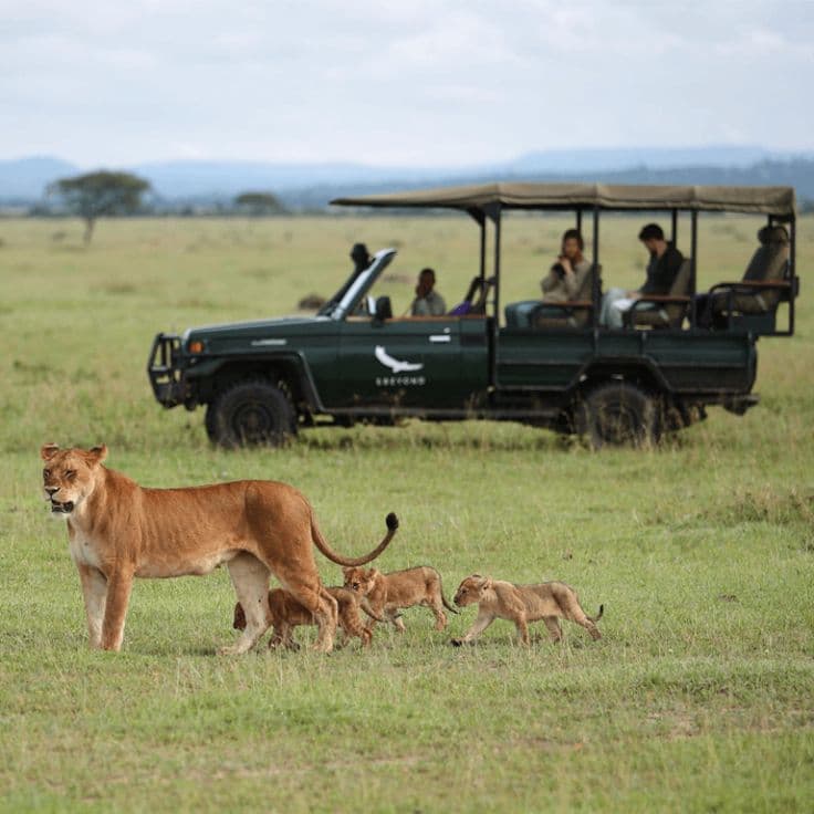 3 Days Amazing Safari - Serengeti & Ngorongoro Crater (Fly-in)