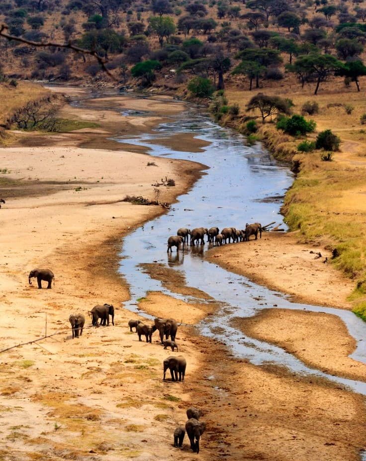 5 Days Luxury Safari - Northern Tanzania Parks